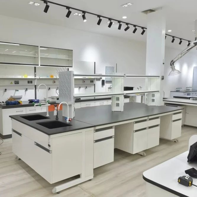 Free Design Medical Chemistry Laboratory Furniture Lab Tables with Steel Cabinet Lab Bench