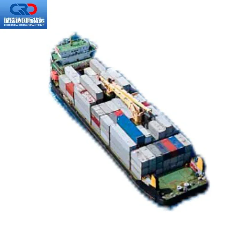International logistic company from China to USA LCL professional sea freight shipping
