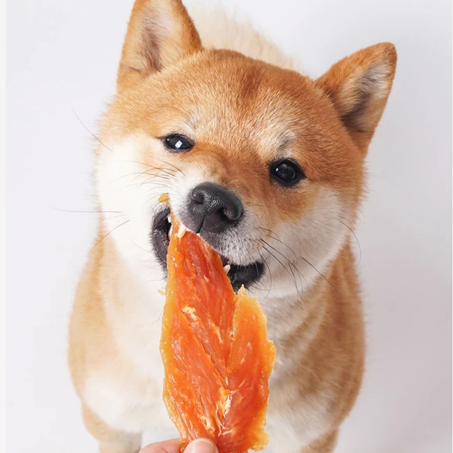 OEM ODM China manufacture (supplier) unique oriental healthy Chicken jerky individual Dried Chicken Strip pet snack