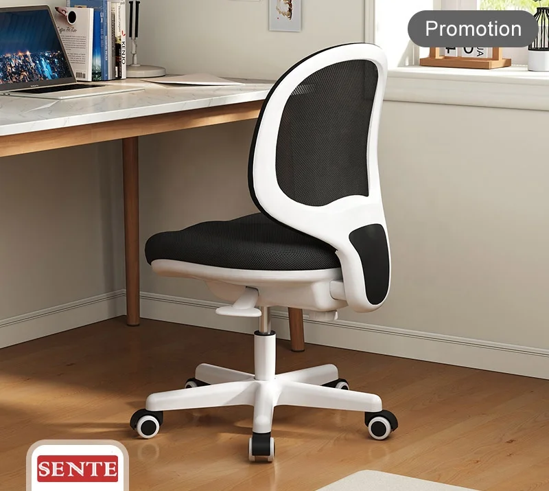 Armless Kid Study Chair Task Office Chair with Mesh Lumbar Support,Ergonomic Computer Chair No Arms,Adjustable Swivel H