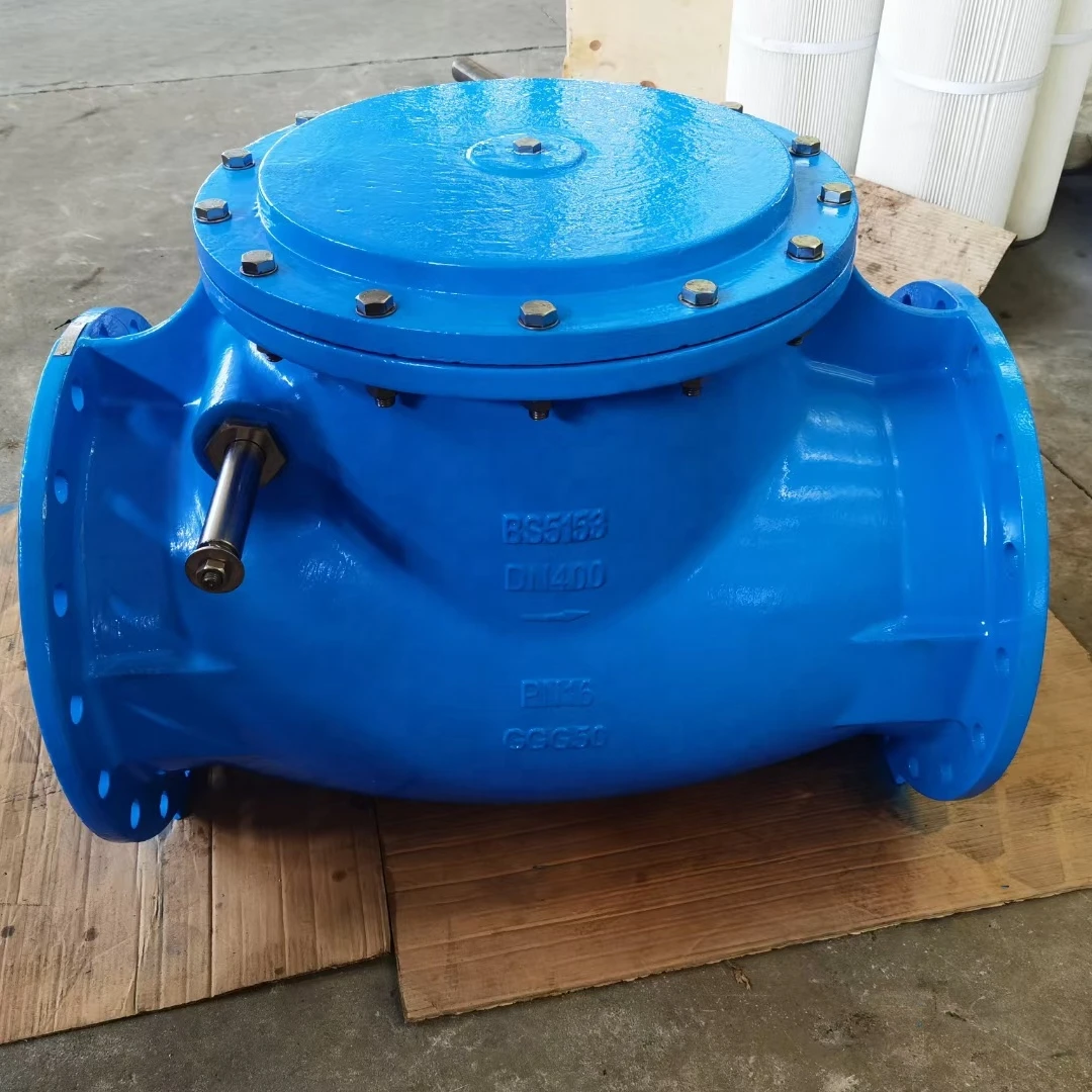 Metal Seated Swing Check Valve Ductile Iron Body Brass Seat BS5153 Standard PN10,PN16 OEM Tight Seal