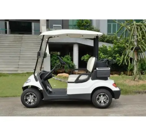 2seater golf buggy electric assembly export to USA