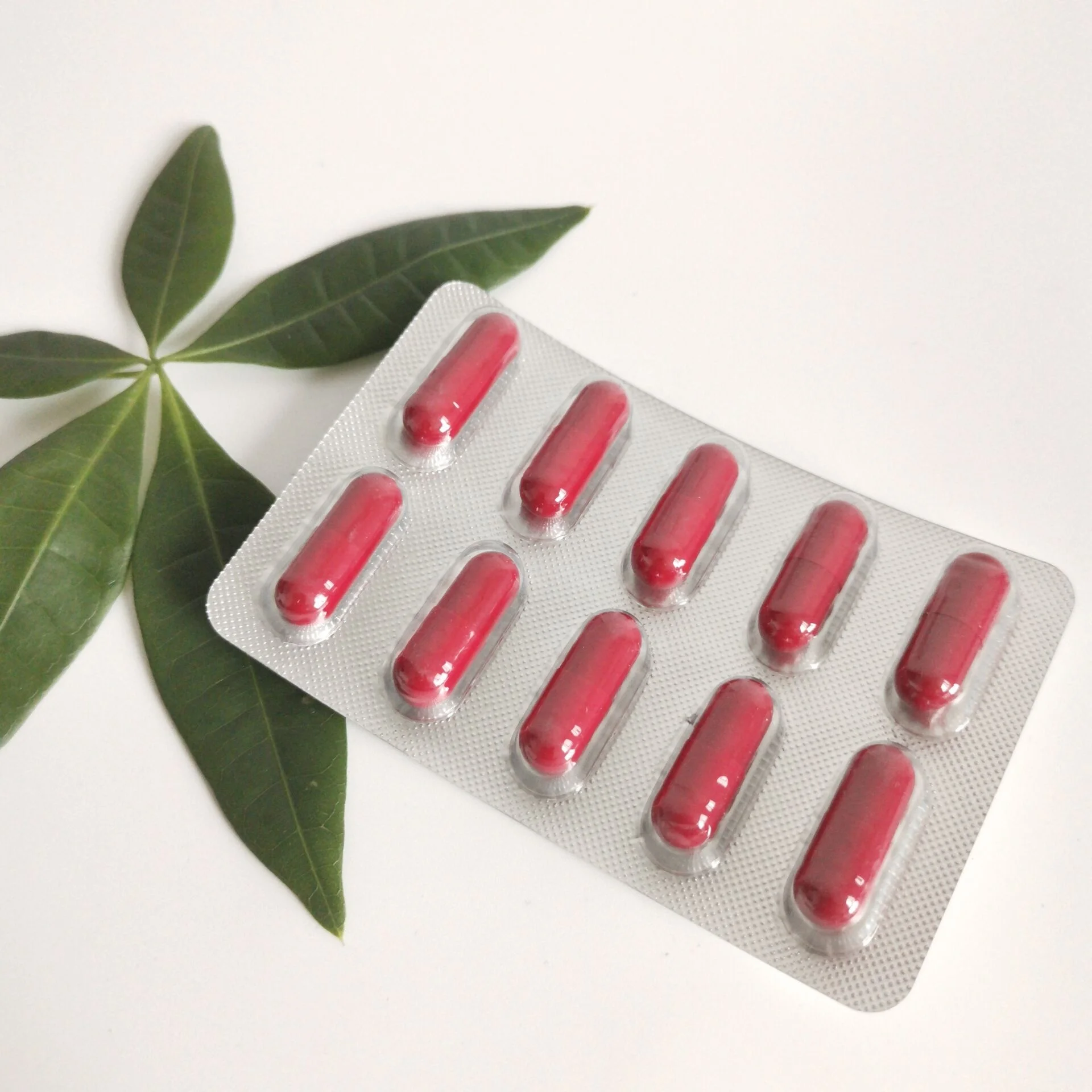 Blister Package Herbal Supplement Horny Goat Weed Epimedium Capsules For Men Health