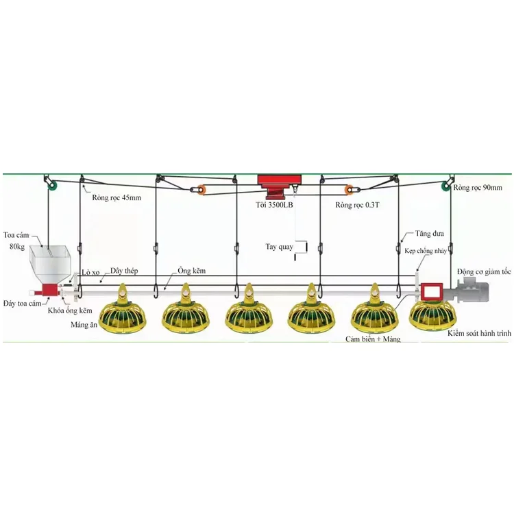 Poultry Farm equipment chicken automatic broiler pan feeding line