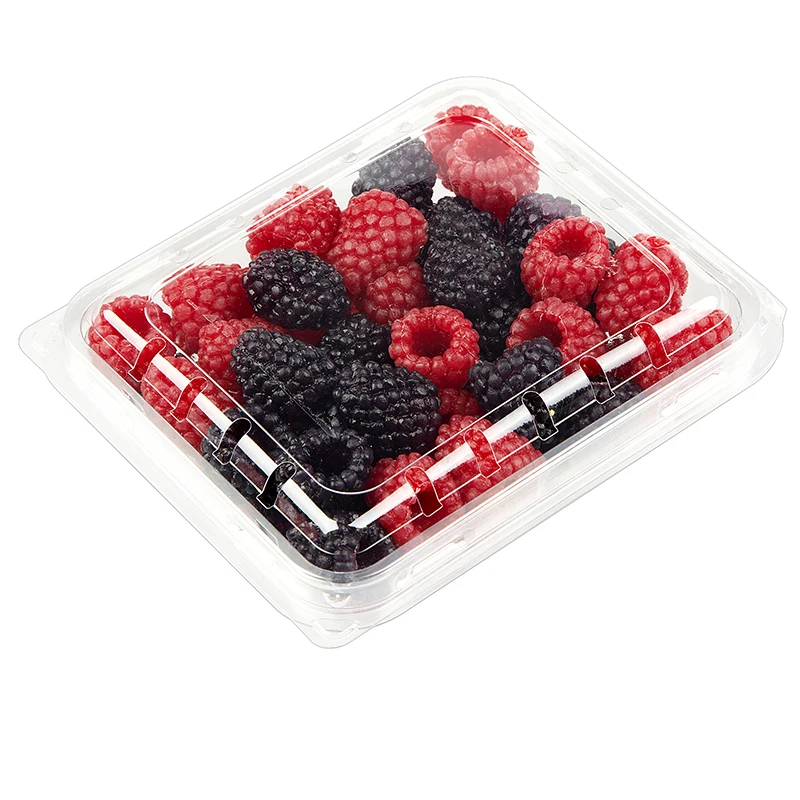 Whole Disposable Plastic Container Fruit Clamshell PET Plastic Container Clamshell plastic Box clear fruit punnet for Grape