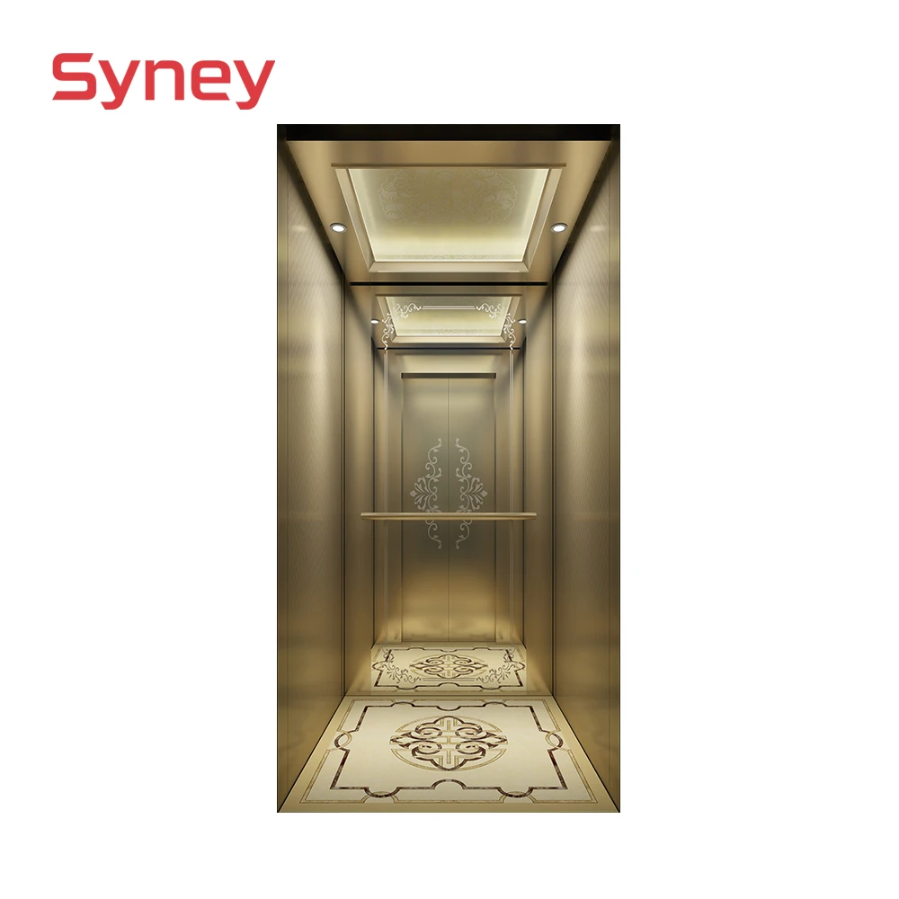 Syney Superior Quality Stable Performance 4~5 Persons Home Villa Elevator