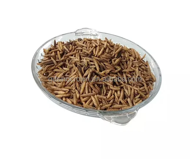 Factory Direct Sales Products Fish Bird Snack Food Larvae Dried Black Soldier Fly