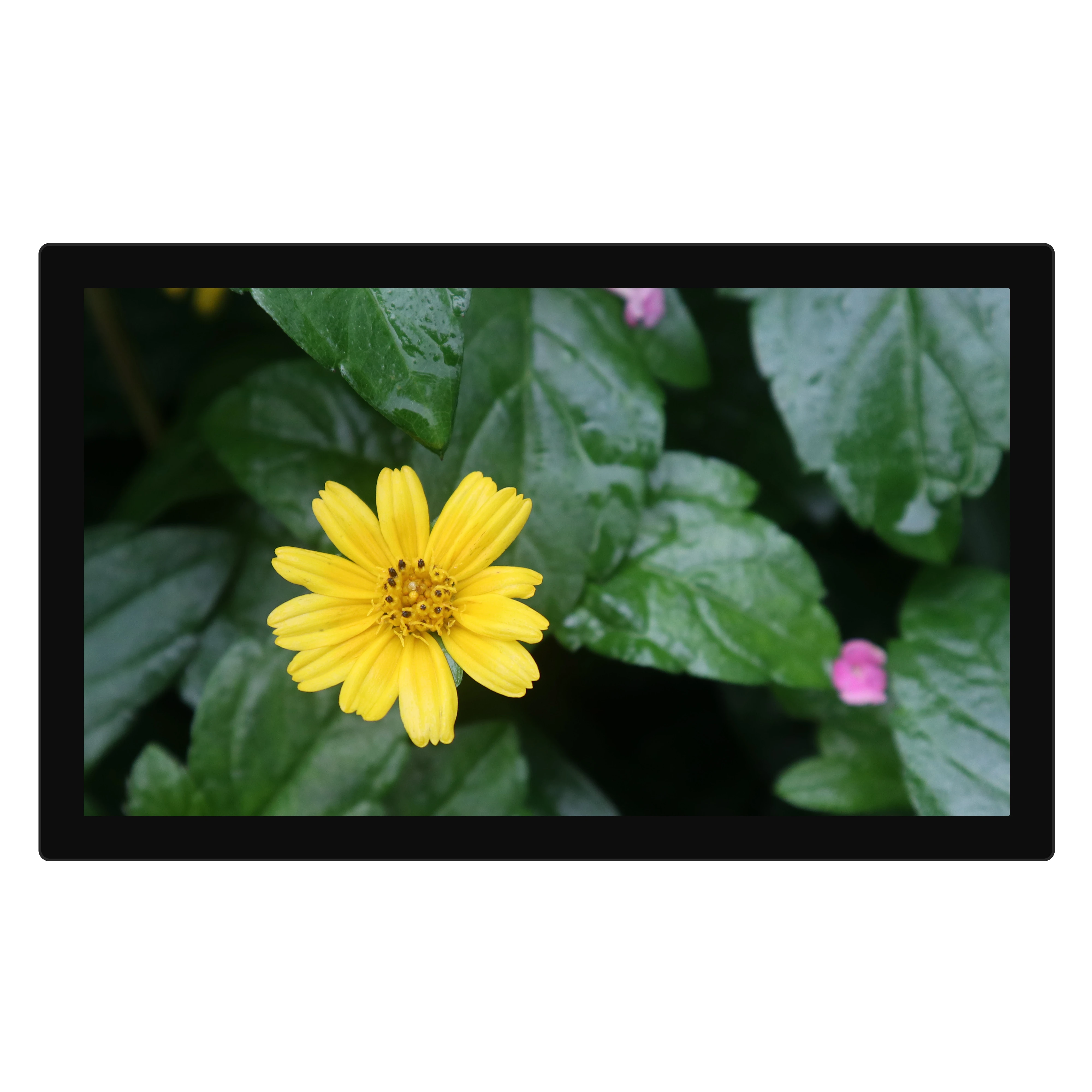 
32' wall mounted Digital Signage / Advertising Display Player / Open frame Touch screen / multi touch kiosk 