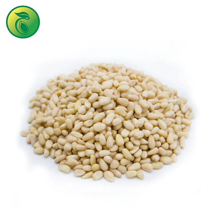 Pine Nuts Usa Pine Nuts Pakistan Pine Nuts Prices