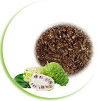 main product.jpg