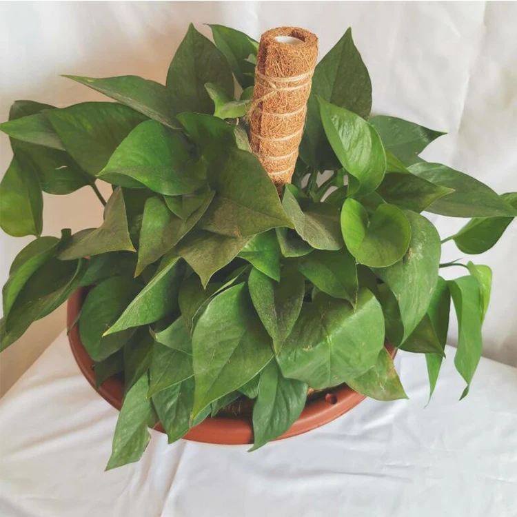 1/2/4 PK Coir Totem Pole with Plant Labels or Twist Tie Garden Tape Roll Plant Protect Trap Coir Moss Totem Pole/Stick