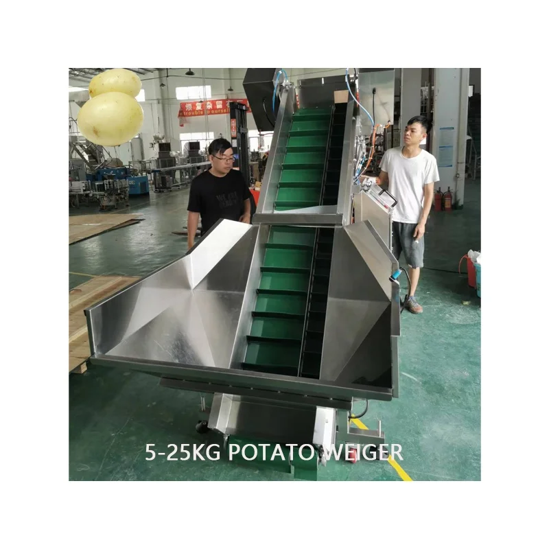 Customized auto 5kg 10kg 25kg single head belt linear weigher potato onion belt filling packing machine