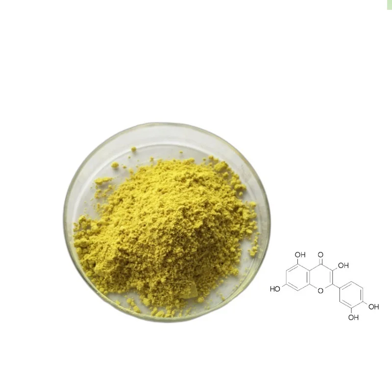 Hot Sale Bulk Sophora Japonica Extract Powder 95%HPLC Quercetin Dihydrate Granular For Health Item