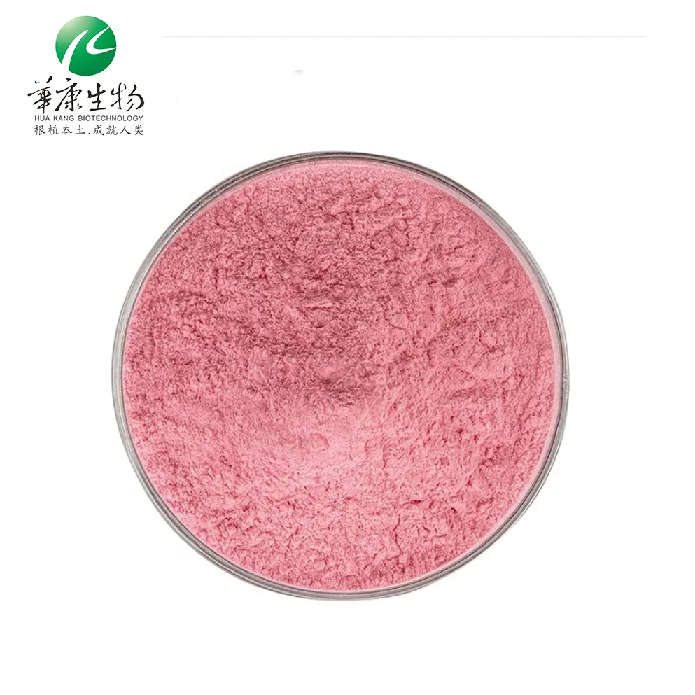 Food Additive Water Soluble Spray Dried Instant Strawberry Powder Smoothies and Baking