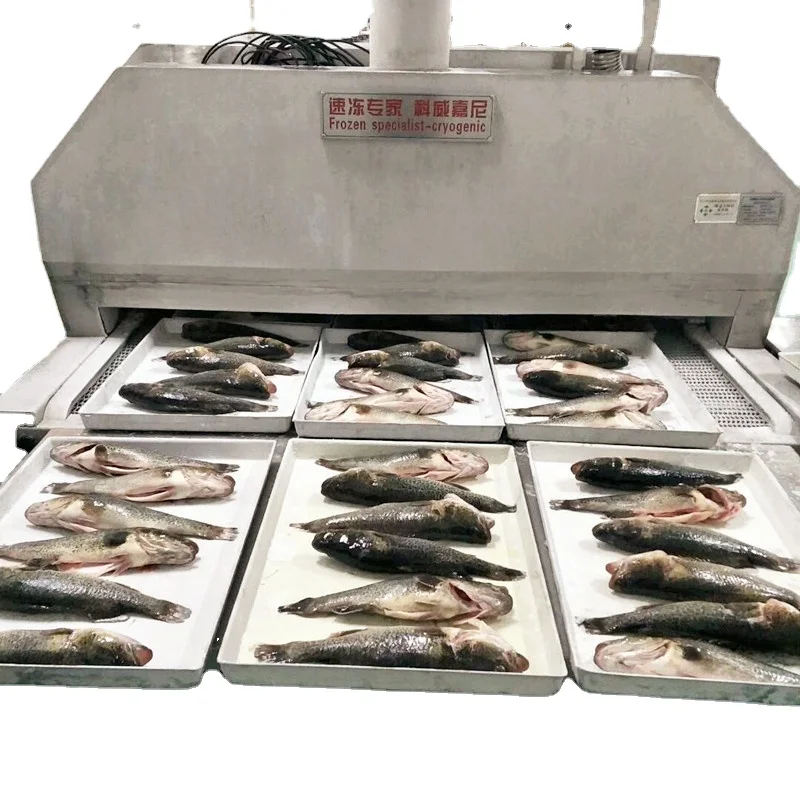 2022 new product silent low noise operation simple fault alarm antifreeze protection tunnel fast freezer