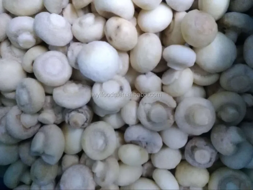 Shelf-Stable frozen Champignons cultivated mushrooms price