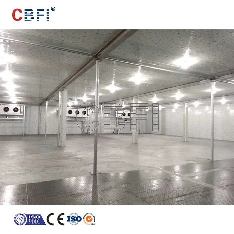 High Quality Ammonia Cold Room Storage For Chicken Meat Fish Fruit New Type Ammonia Cold Storage For Fruits And Vegetables