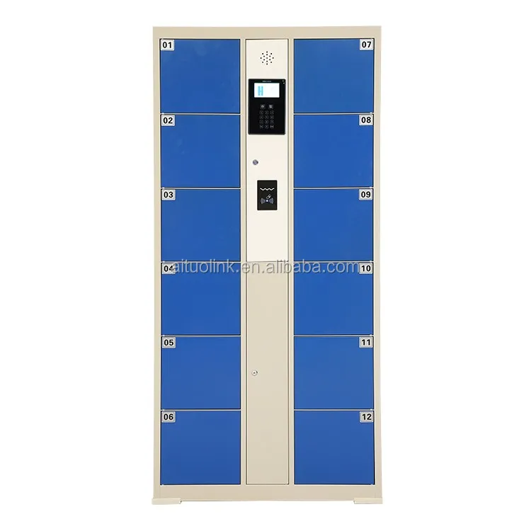 Stand-alone Smart 4 Inch Screen Electronic Card Swipe Parcel Storage Locker For Supermarket Locker