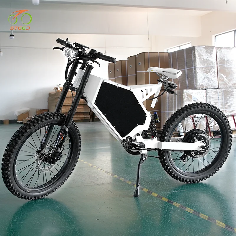 Steed walking bike chaoyang electric bicycle engwe 2000w 3000w fat tire bike with electric conversion kit
