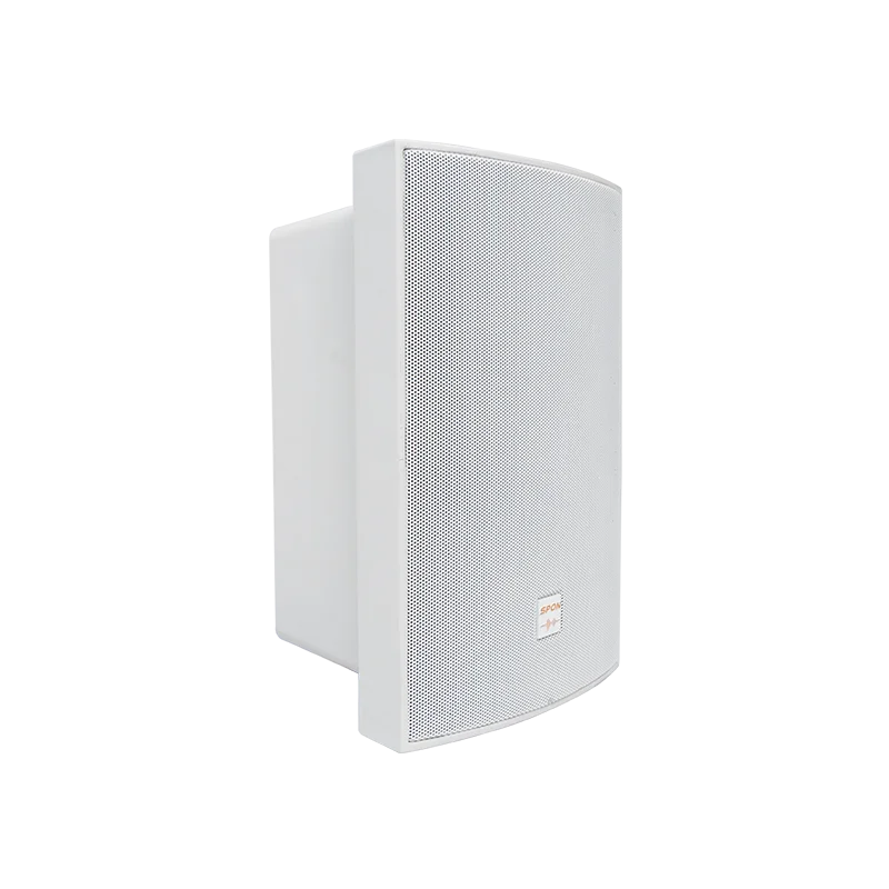 Cloud Retail Sound System Public Addressing PA System Solution for Retail Store