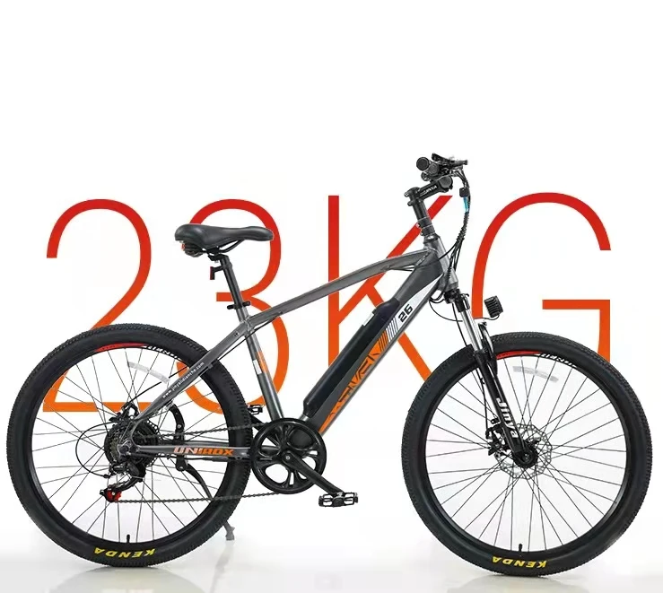 Chinese Factory Directly Selling 10AH Battery Riding Bicycles Mountain Road City Cheap Electric Dirt Bike