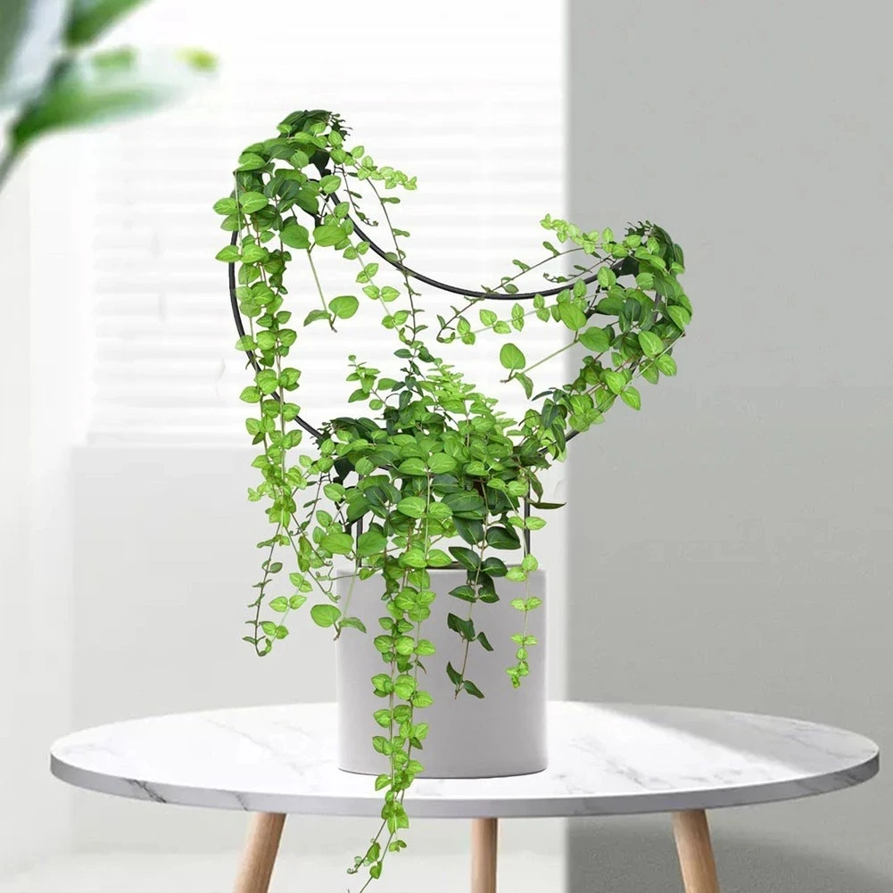 Stylish Decorative Moon Star Shaped Fixed Rod Garden Trellis For Climbing Plants Metal Plant Stand