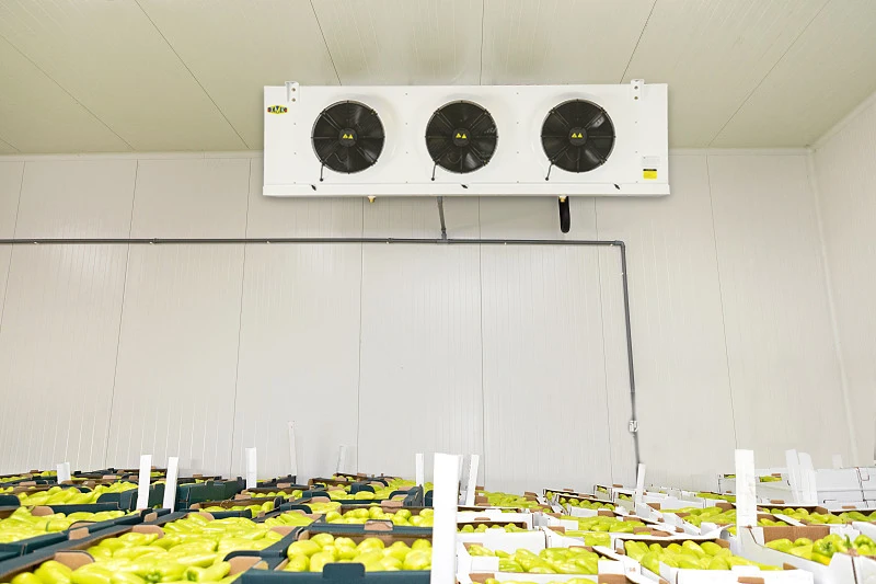 green pepper cold room 3