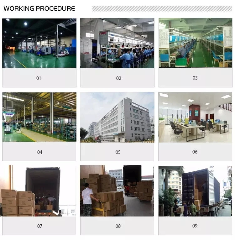 Home Professional Equipment Exercise Crazy Fit Massage Electric Vibration Plate