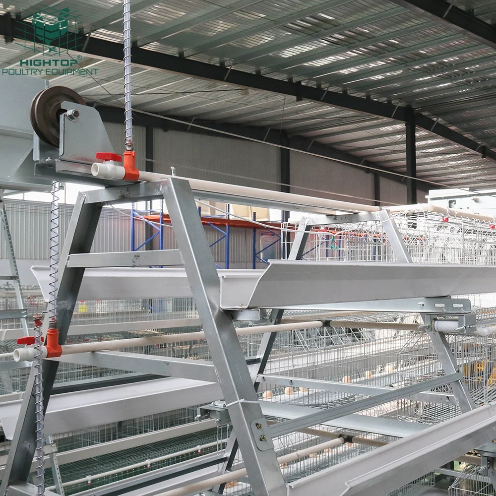 Factory Price Automatic Egg Chicken Poultry Farming A Type Chicken Layer Cages 3 Tier 4 Tier Battery Layer Farm Cage For Sale