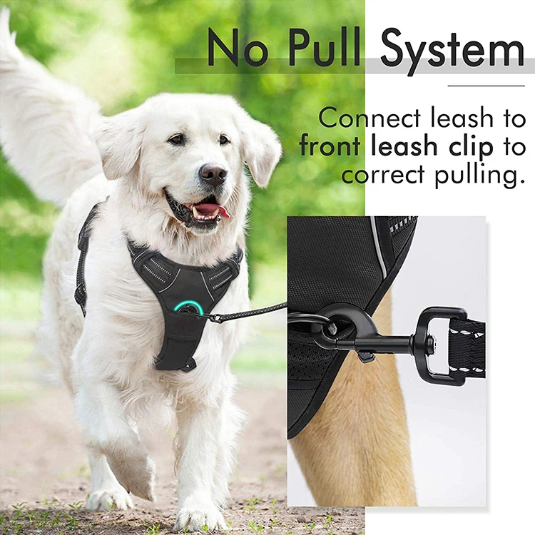 Amazon Best Seller Body Small Mesh Fashion Dog Pet Harness for Dog