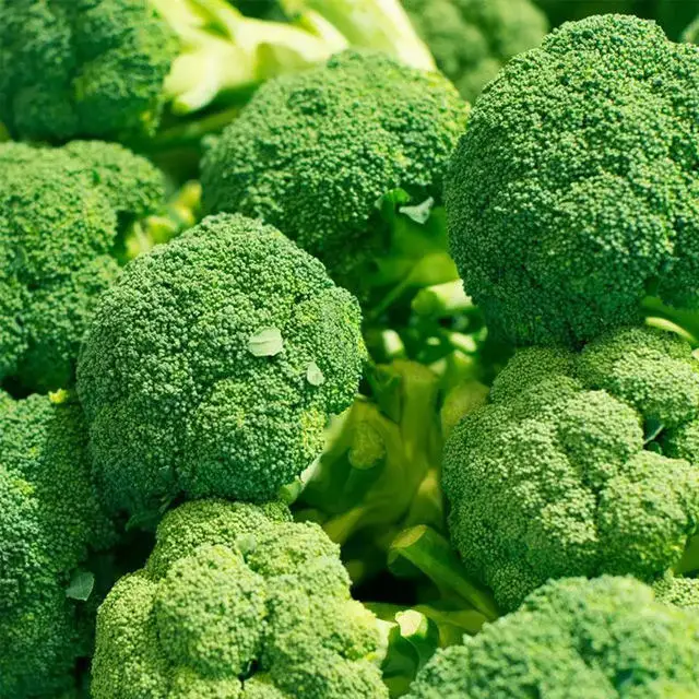 Factory wholesale China Vegetables Broccoli export price fresh broccoli from China