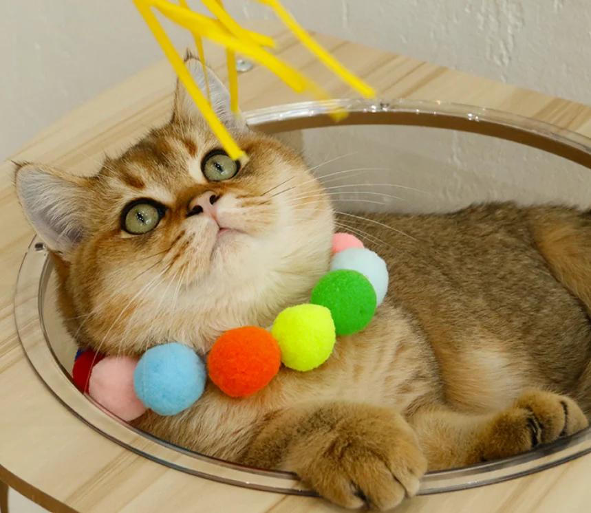 Cat Color Ball Collar Dog Hair Ball Collar Chain Birthday Jewelry Shiba Inu Corgi Collar Net Red Pet Photo