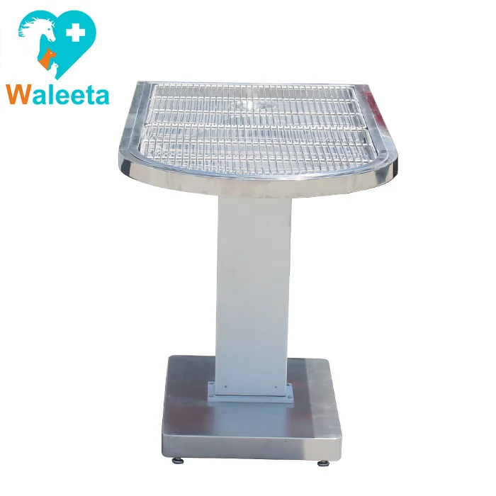 Factory Price Animal Operating Table WT-20 Vet Veterinary Surgical multifunctional electric-lifting dental disposal table