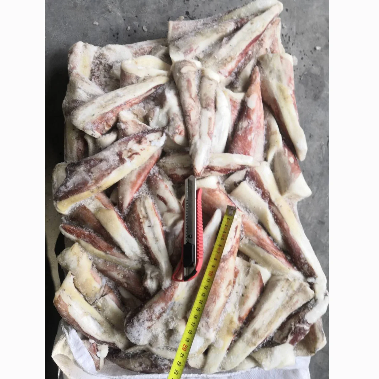Frozen Giant Squid Tip  tail squid ink powder thailand market