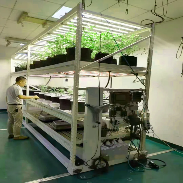 Hydroponic Grow Trays Stands hydroponic farming systems 1.5m Microgreen Plant growing trays Greenhouse System