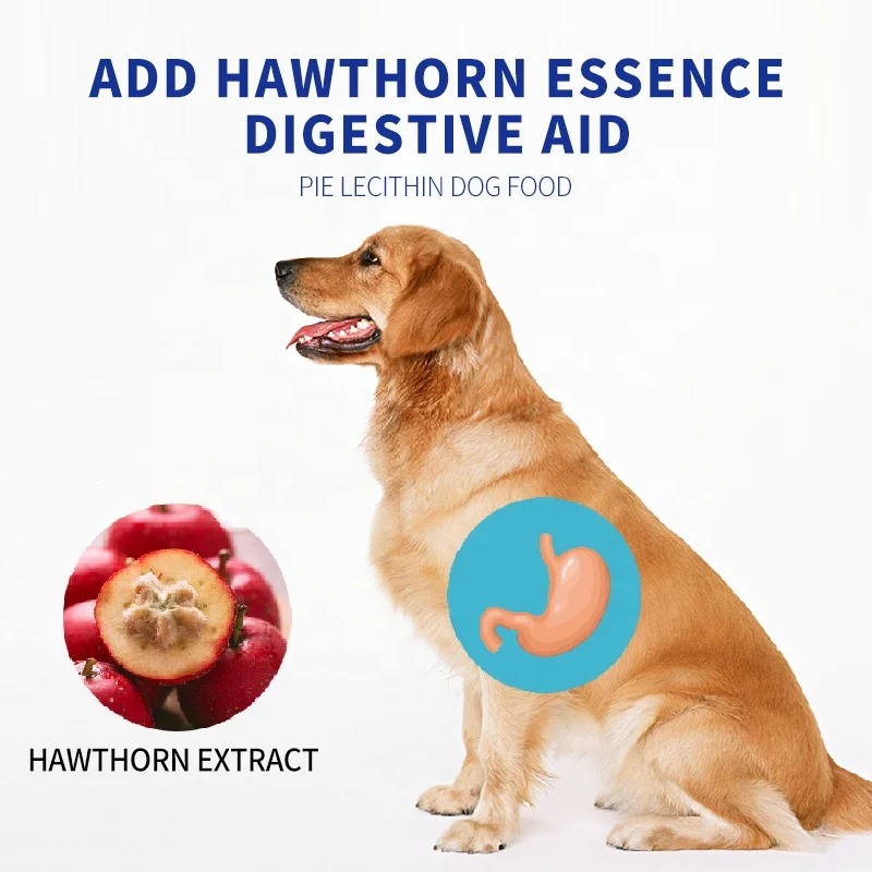 OEM ODM low allergic lecithin super premium OEM ODM vitality dry dog food for aged dogs all breeds