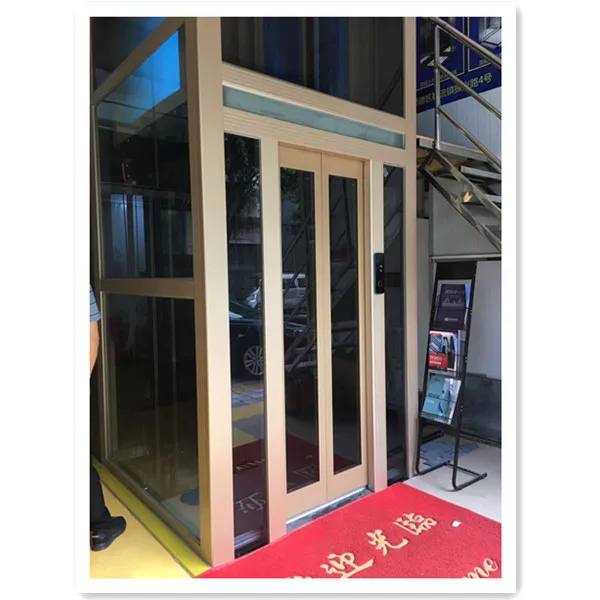 Guangdong JFUJI Elevator Factory Stable Quality Passenger Lift 6-8 person 2 Floor Elevator fuji