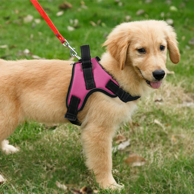 600D Oxford Fabric from Pet Supplier Solid Pattern Saddle Style Breakaway FeatureRibbons Decoration Cats Made Fiber Pet Harness