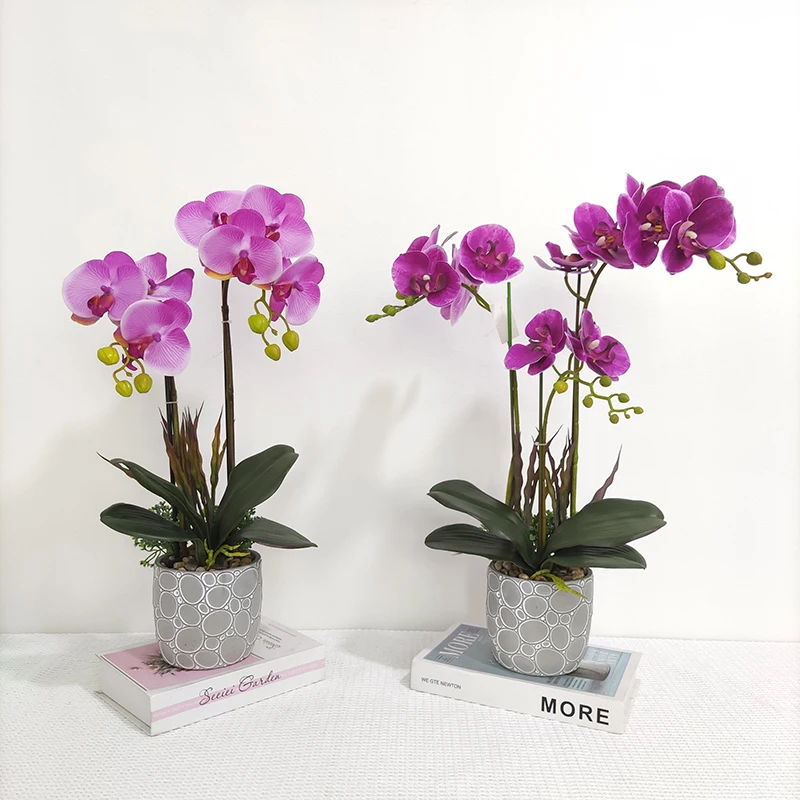 Real Touch Silk Orchid Flower Bonsai Latest Customized Real Touch Orchid Plants Set Orchids Phalaenopsis For Home Decoration