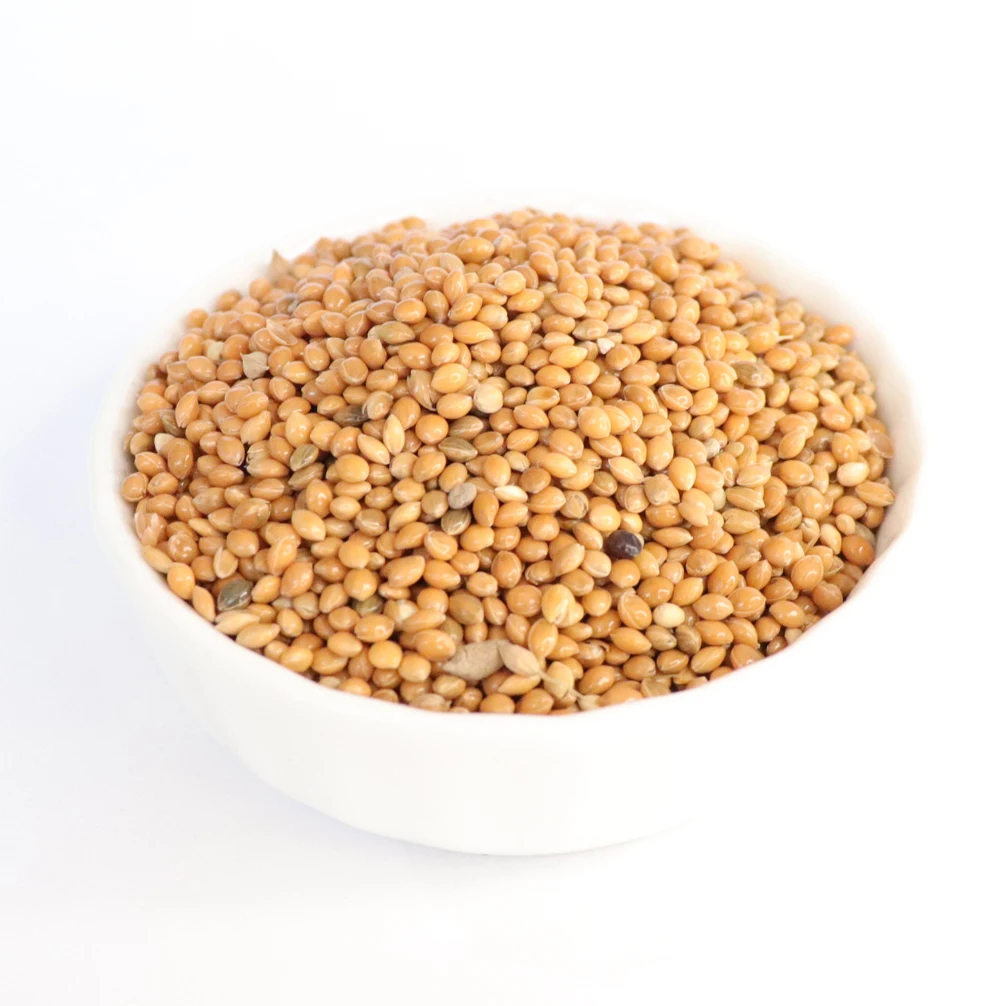 Wholesale New Crop Yellow Millet In Husk Millet Seed Unhulled Yellow Foxtail Millet