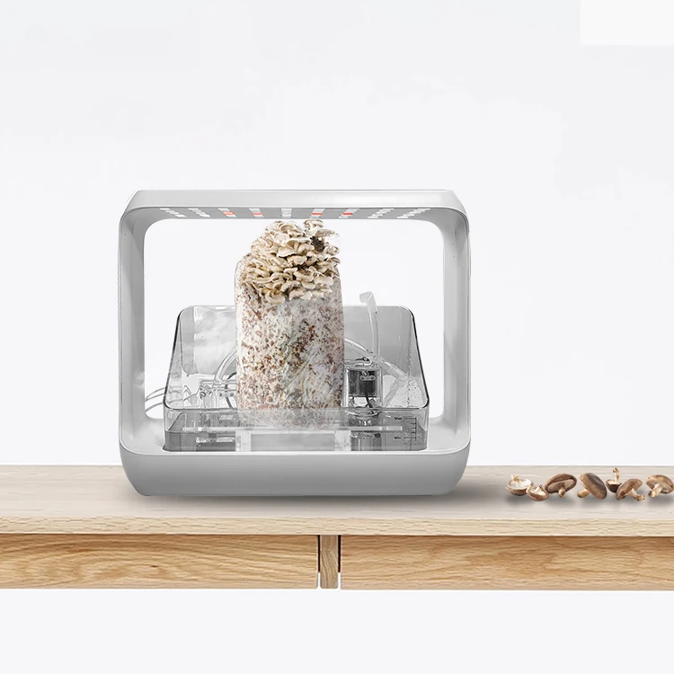 High Quality 24W  trays Mushroom automatic Green starter Hydroponics Growing Systems  Kit