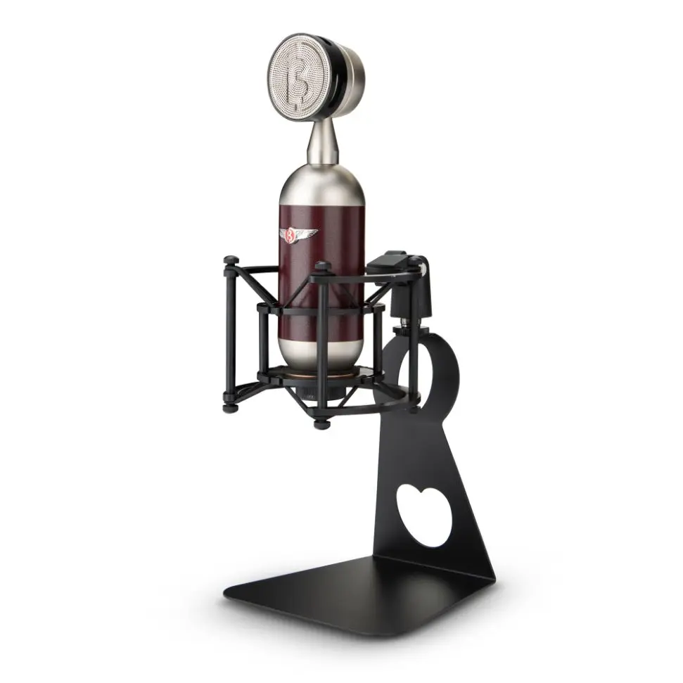 Goose USB Desktop Condenser Microphone With Monitoring Interface, 50cm Range Clear Radio, Used For Lectures,Gamin games, hosting