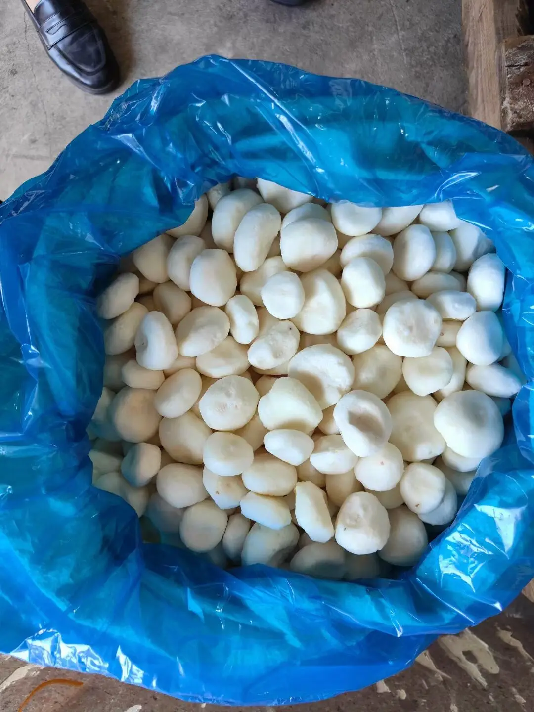 New crop  frozen water chestnut iqf frozen vegetables