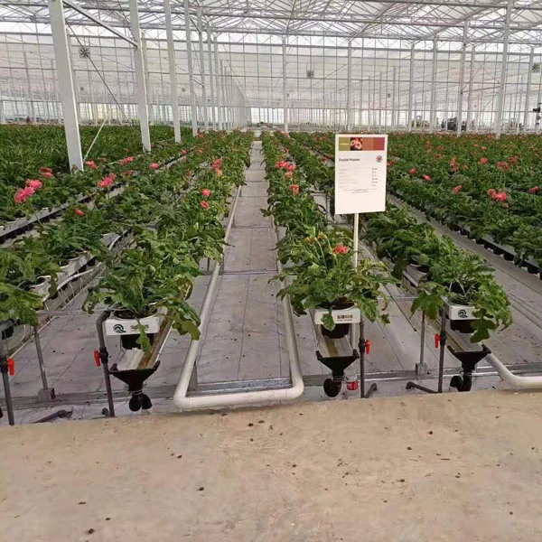 Cheap Agriculture Multi Span Venlo Glass Greenhouse Hydroponic Growing System For Planting