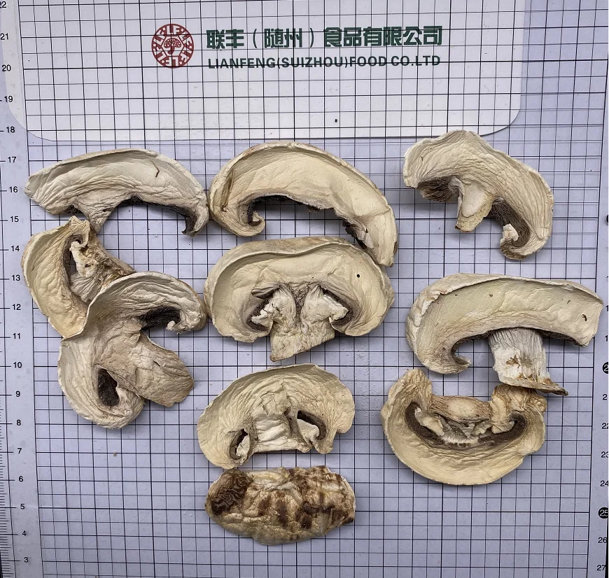 
Wild Dried Funghi Porcini Mushrooms Slices in Bulk Pack 