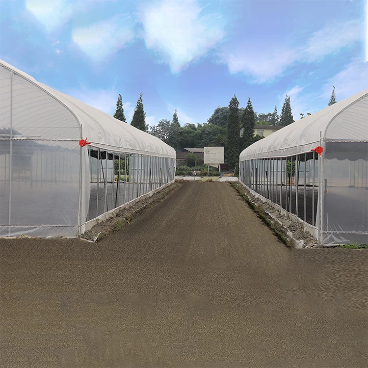 Good reputation polysolid  sunlight greenhouses for agriculture