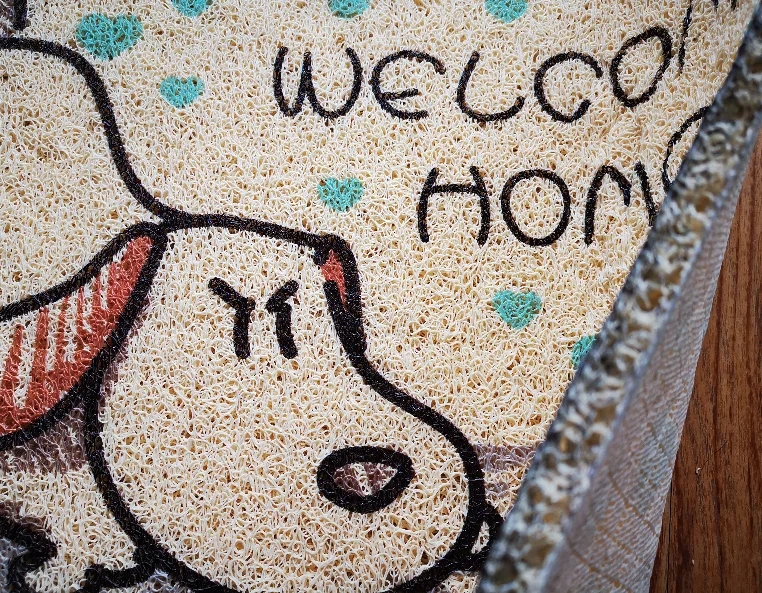 Household Entrance PVC coil  Front Door Mat indoor Outdoor Rug Non-Slip waterproof Welcome hallway Doormat pet dag cat door mat
