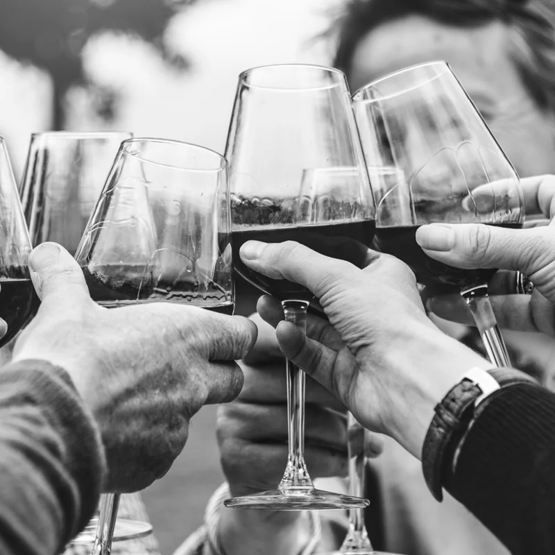 Высшее качество Сделано в Италии Pinot Noir Sauvignon Blanc сверкающее белое вино 6 шт. * коробка