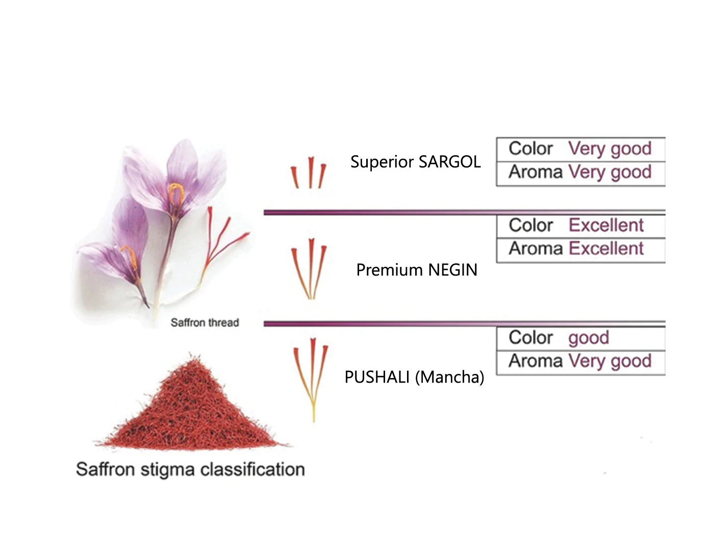 Quality Pushali Saffron Retail & Bulk Packaging - Pushali Saffron Wholesaling - Pushali Saffron Stylish Packaging