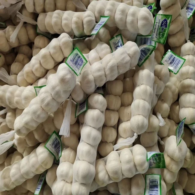 export chinese  high quality garlic black garlic fresh garlic